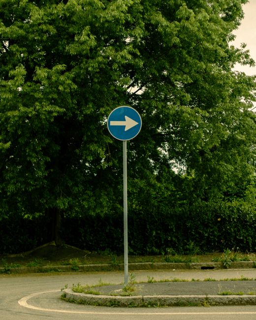 A serene street scene with a directional sign amidst lush greenery in Milan, Italy.