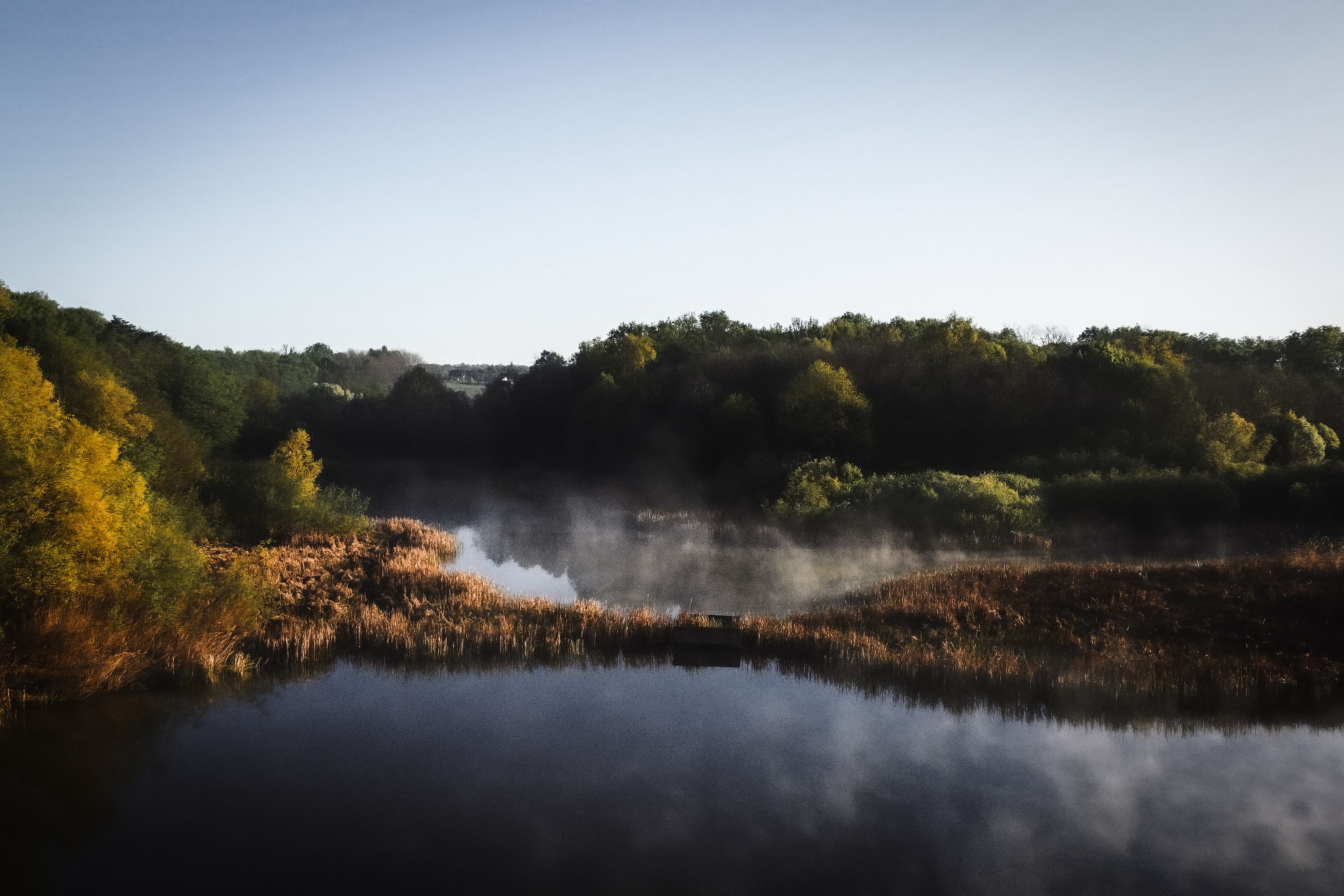 Serene Misty Morning over Tranquil Lake · Free Stock Photo