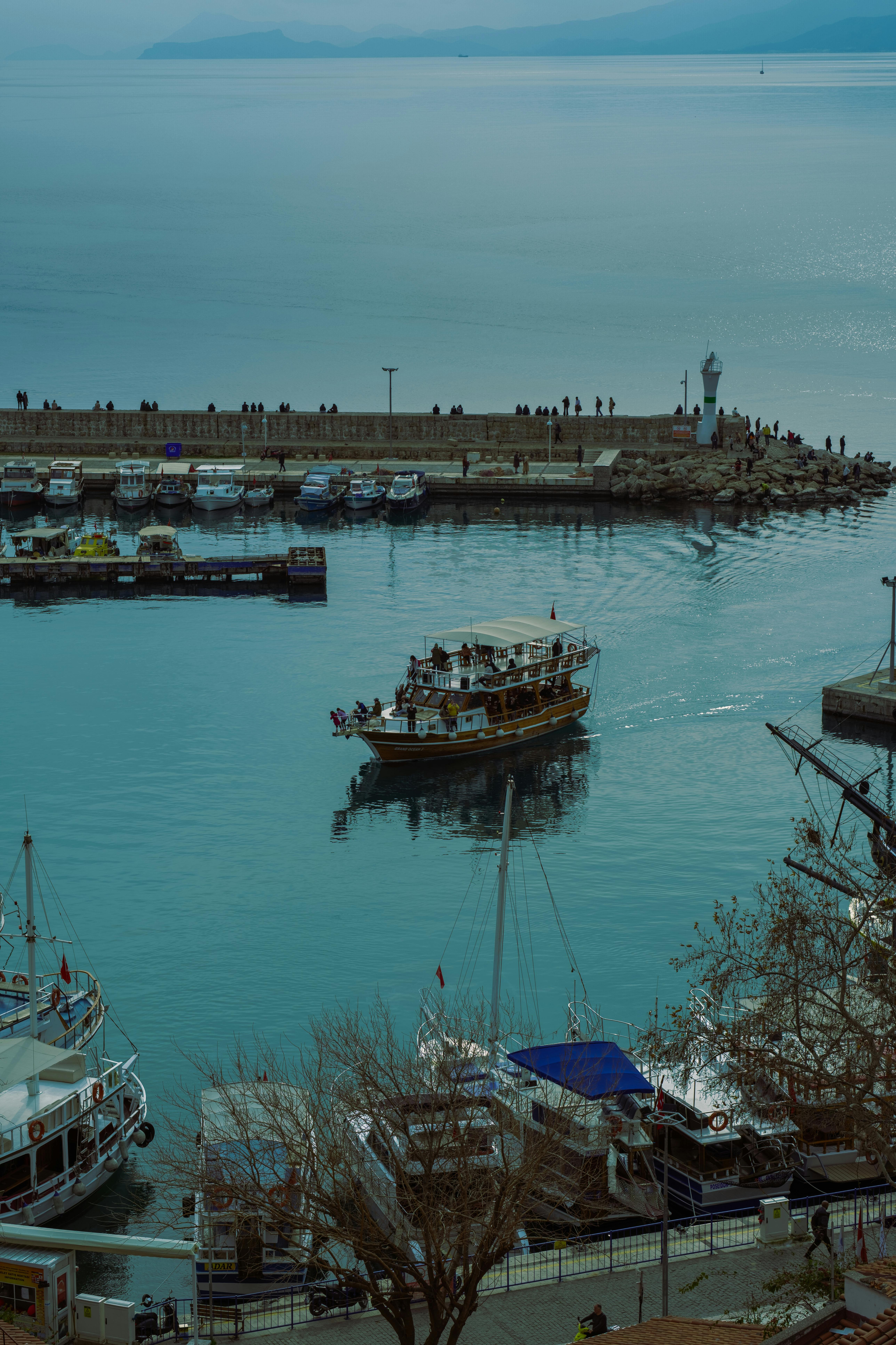 Ketchikan Carnival Cruise Excursions