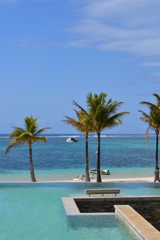 Relax in a tropical paradise with palm trees and an infinity pool overlooking a blue ocean.
