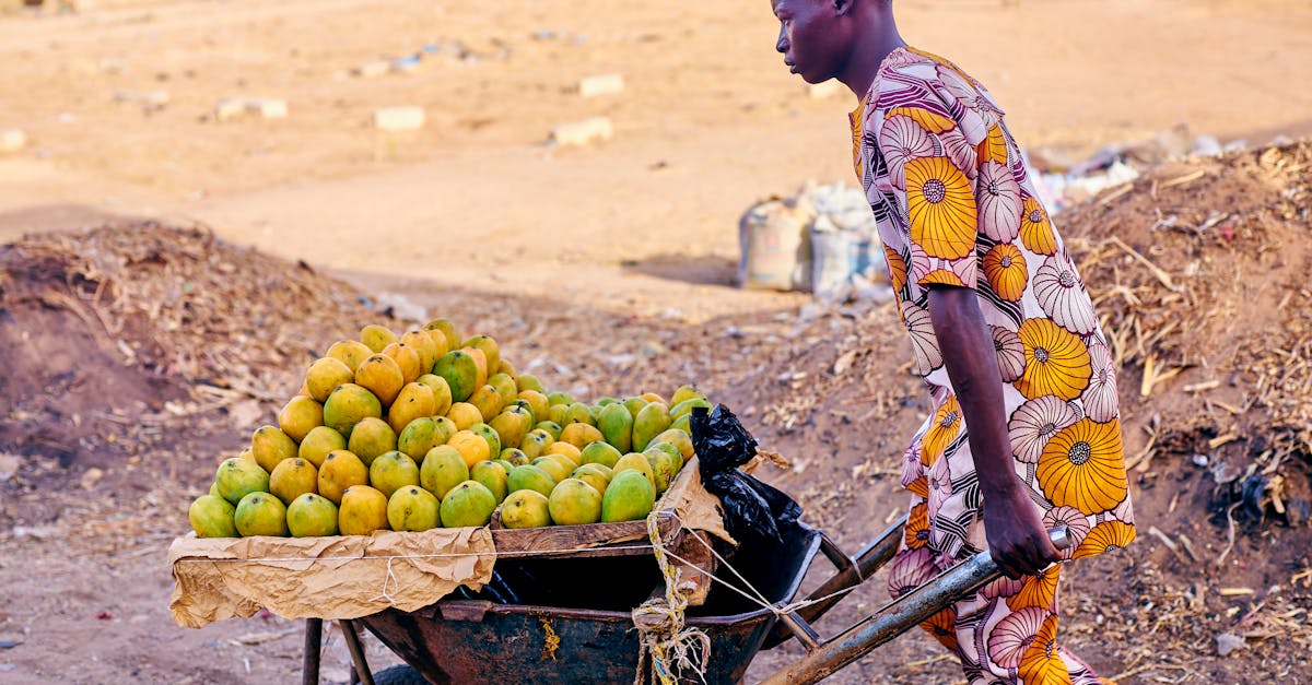 1分鐘讀財經》川普100天摧毀70年自由貿易!後面3張骨牌全倒