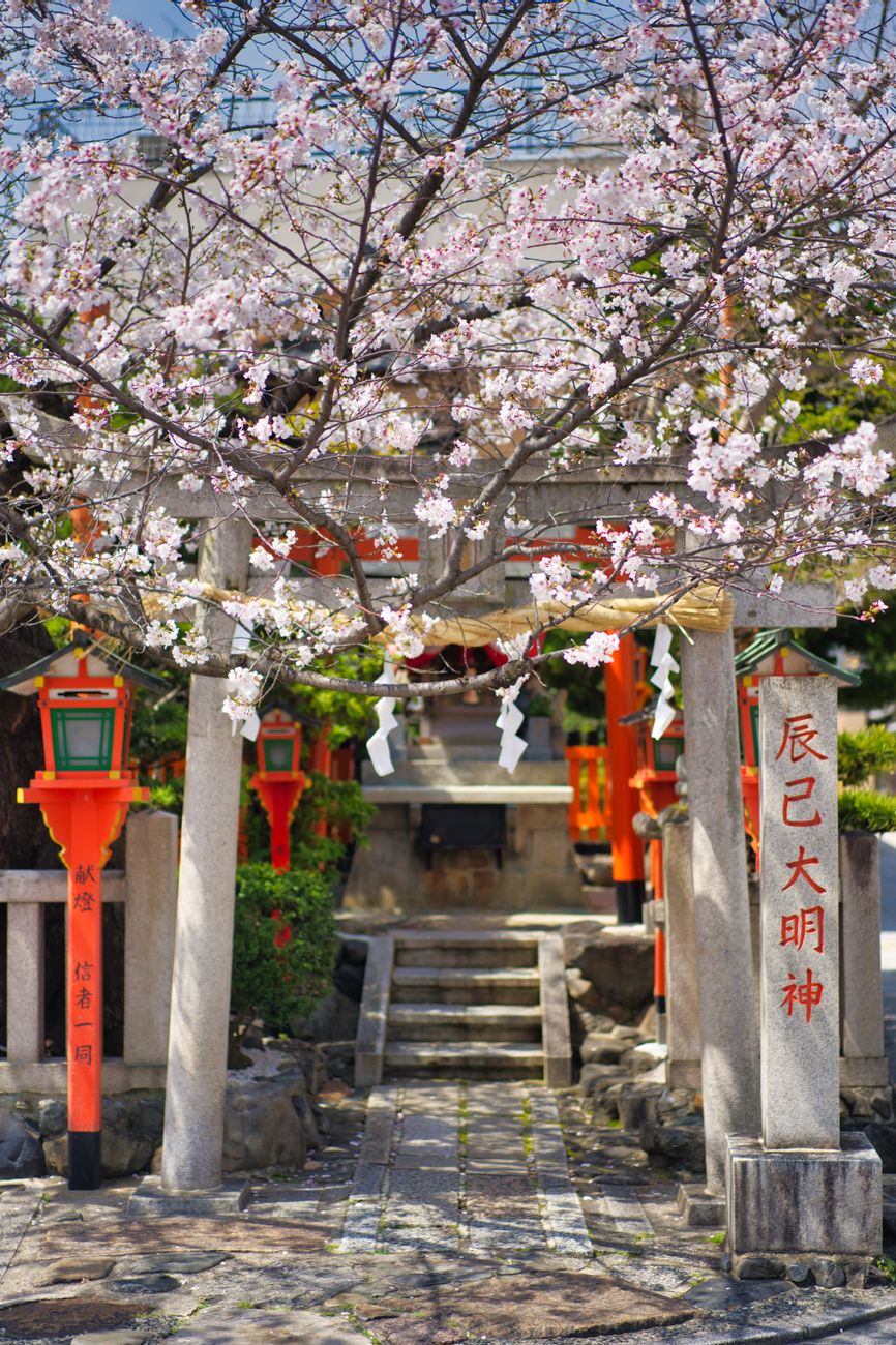 Japão
