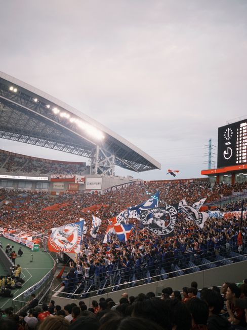 soccer fans cheering stadium