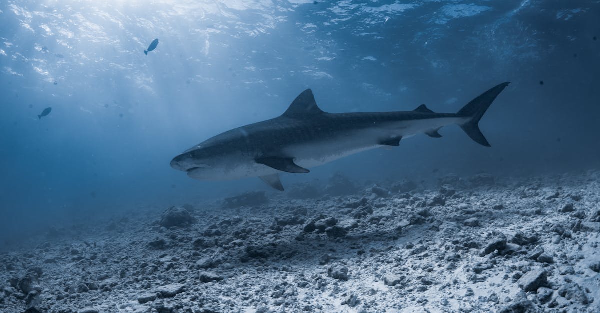 宋智孝親身體驗海女生活 5月訪台分享拍攝趣事
