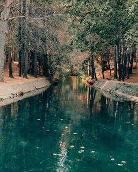 Beautiful forest stream reflecting trees in San Carlos de Bariloche, Argentina.