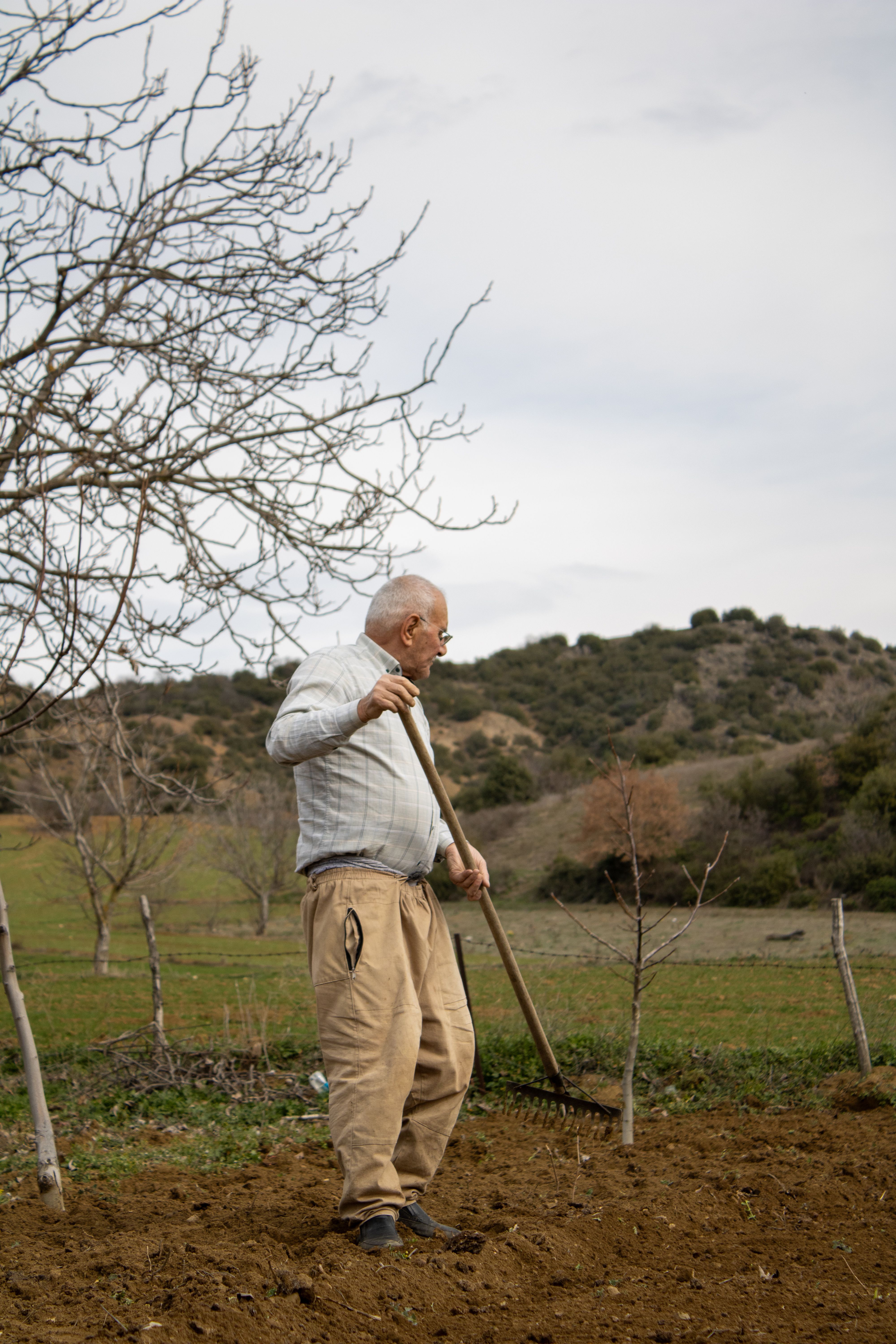 Elderly Farmer Working in a Rural Landscape · Free Stock Photo