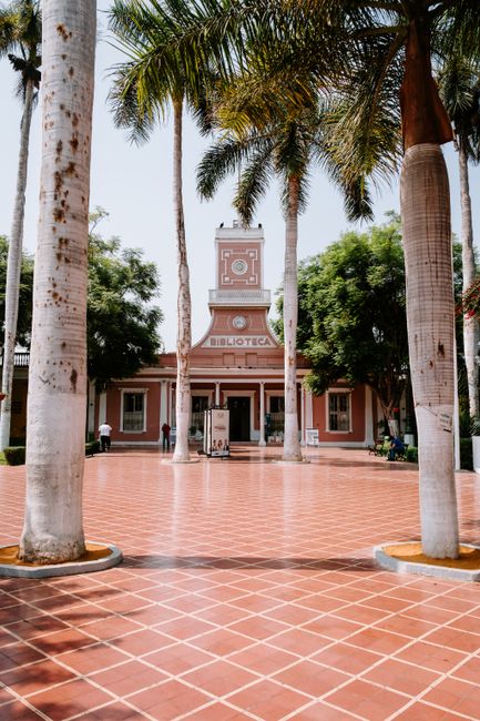 Explore the vibrant entrance of a library in Callao Region, surrounded by palm trees and red tiles.