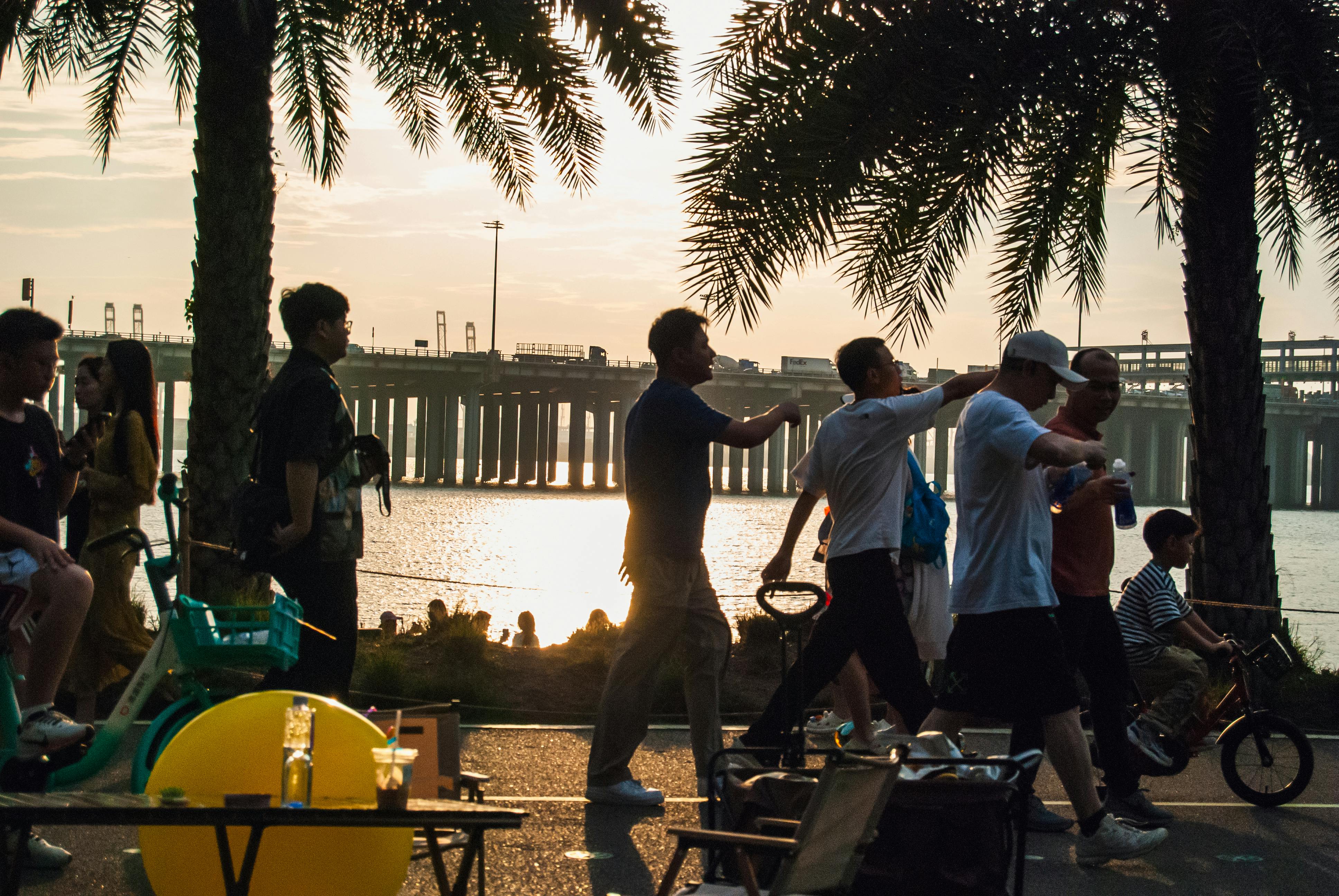 Crowd strolling along Shenzhen waterfront at sunset under palm trees.