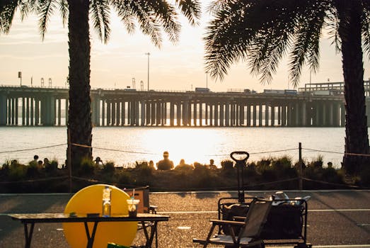 Relaxing sunset scene by the waterfront in Shenzhen with palm trees and bridge view.