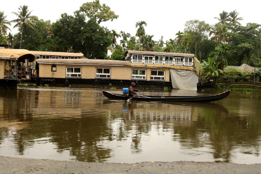 Alleppey (Backwaters) photo 8