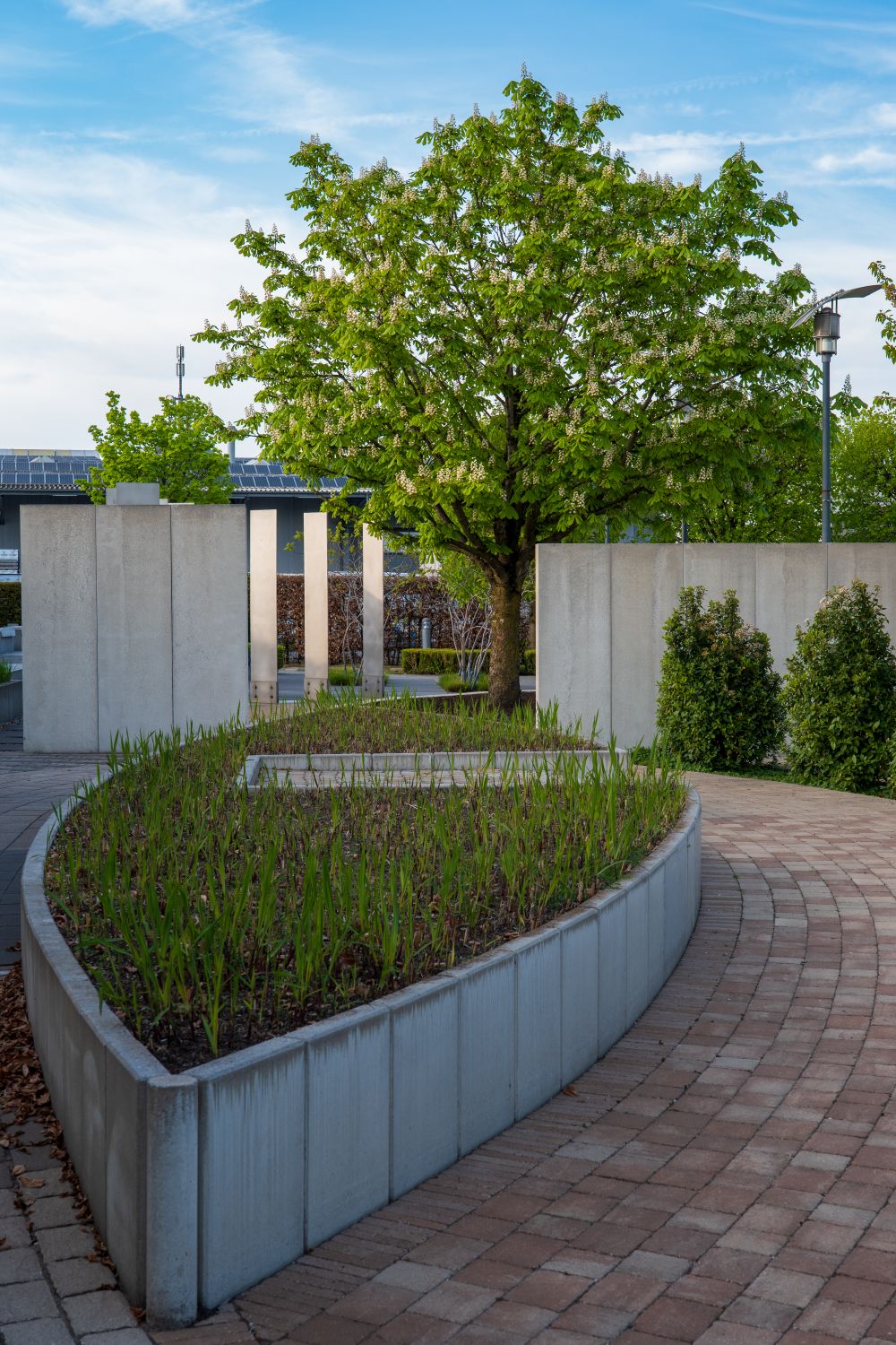 Contemporary urban garden with greenery and a curved pathway
