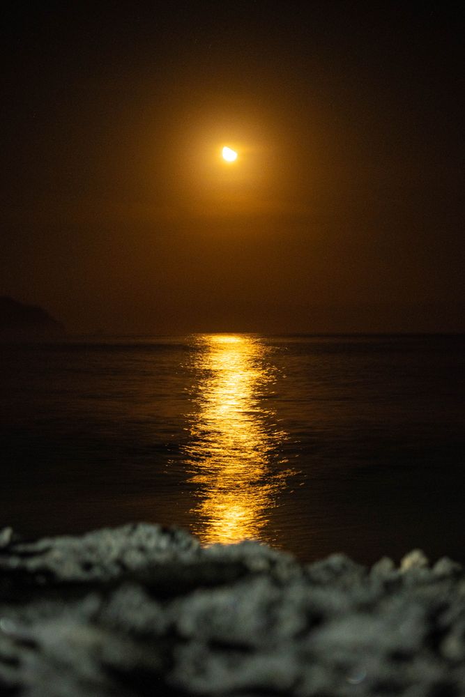 Moon Reflection Photos, Download The BEST Free Moon Reflection Stock ...