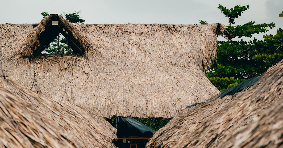 揚名國際!新北原民聯合文化活動榮獲美國MUSE創意金獎