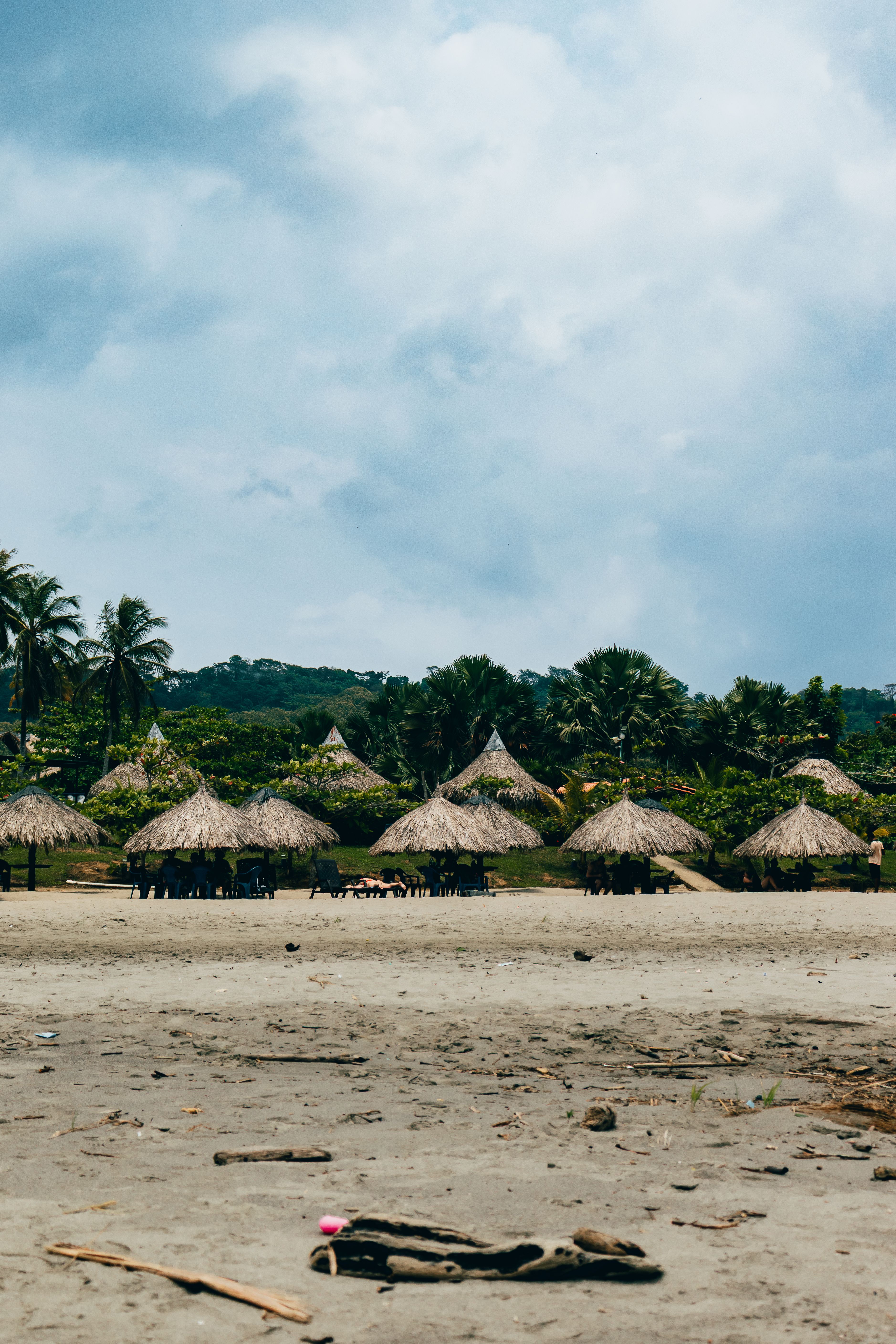 Tropical Beach with Thatched Huts and Palm Trees · Free Stock Photo