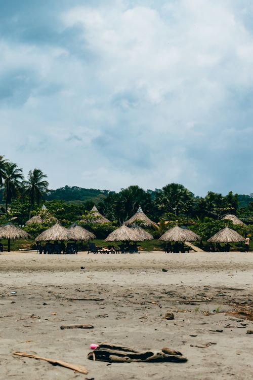 Free Scenic tropical beach with thatched huts, palm trees, and lush vegetation under a clear sky. Stock Photo