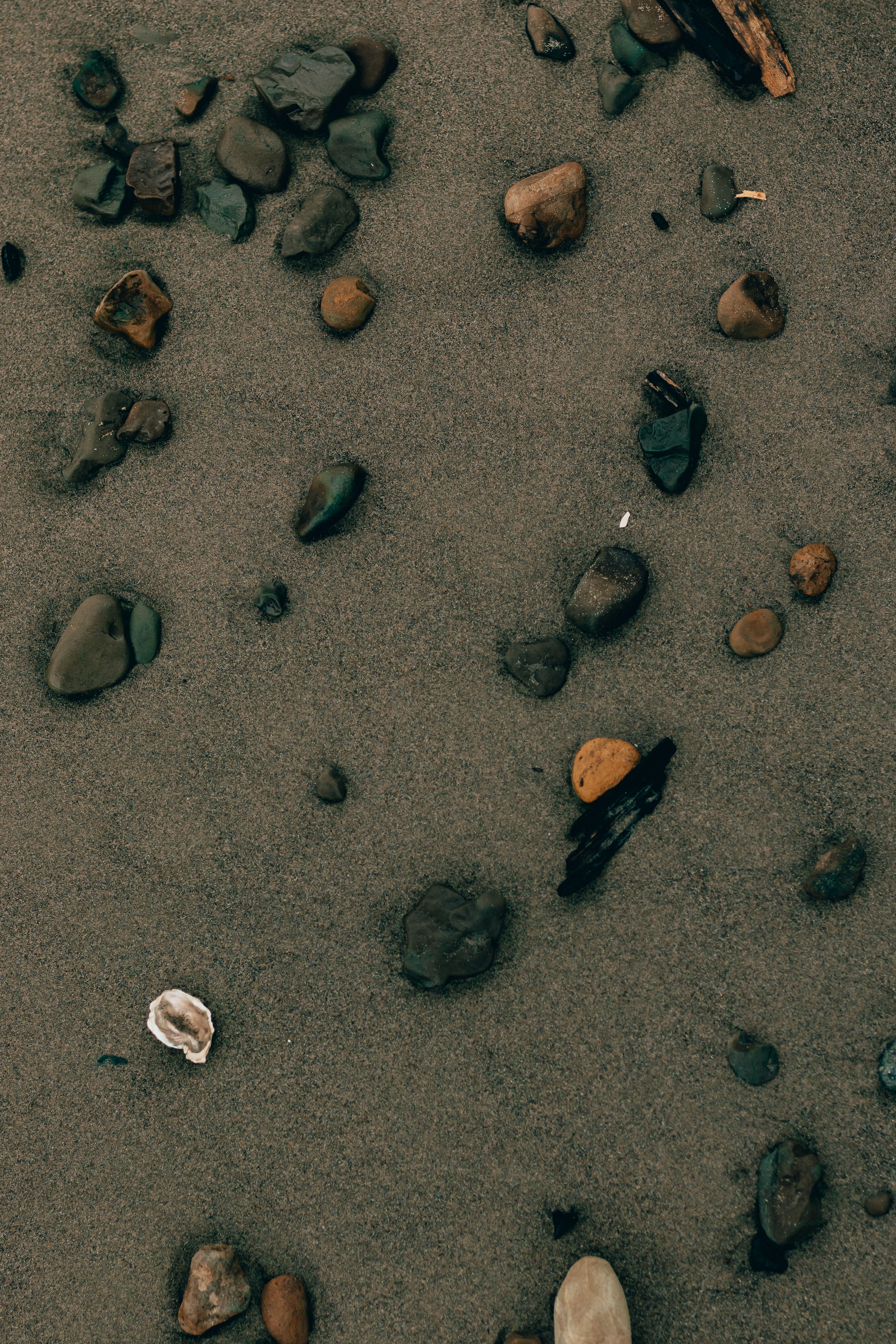 Sand Beach With Rocks Photos, Download The BEST Free Sand Beach With ...