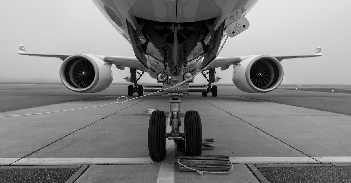 越南航空高雄飛胡志明班機因文件問題返航,旅客重新出發