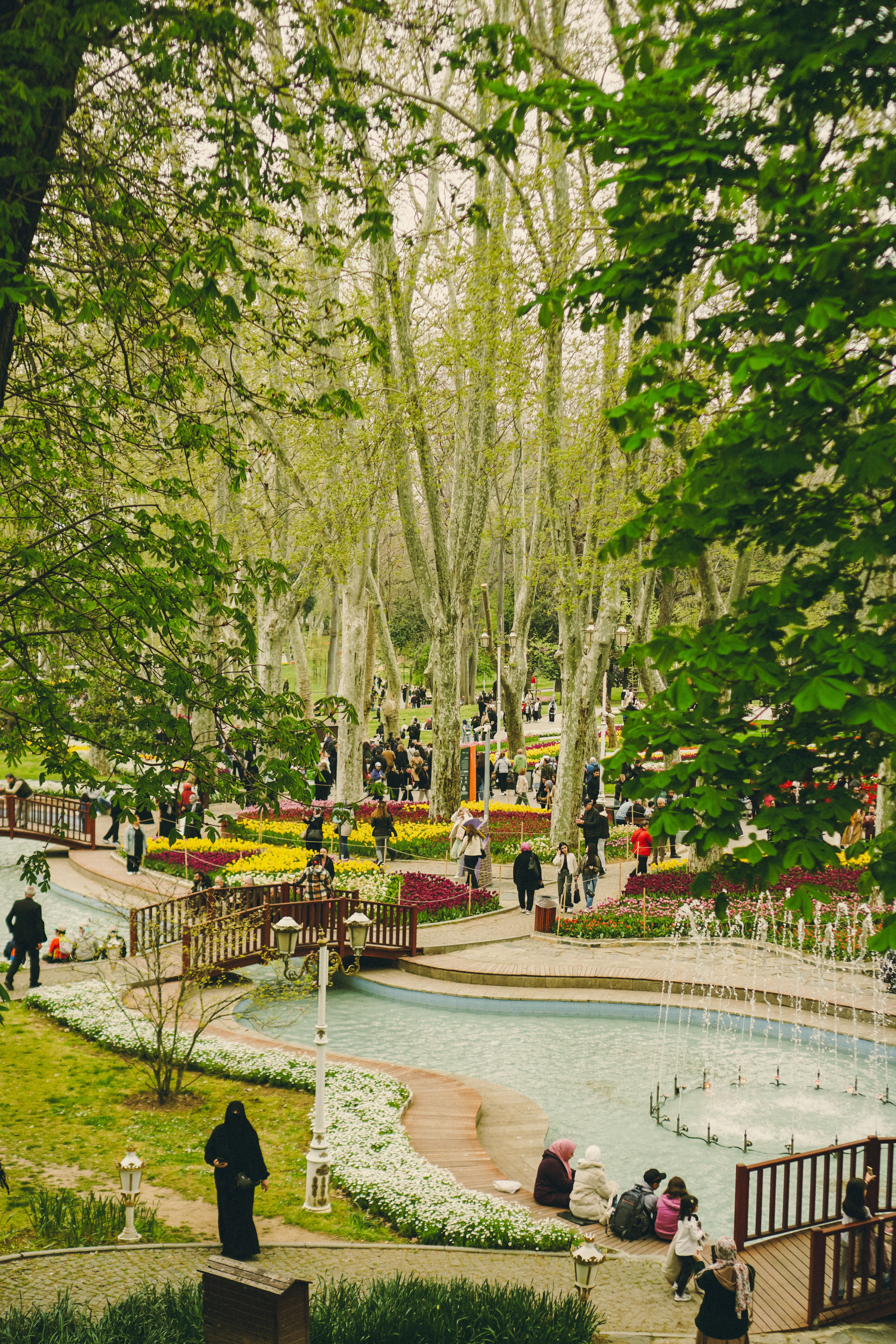 Spring Day in Scenic City Park with Fountain · Free Stock Photo