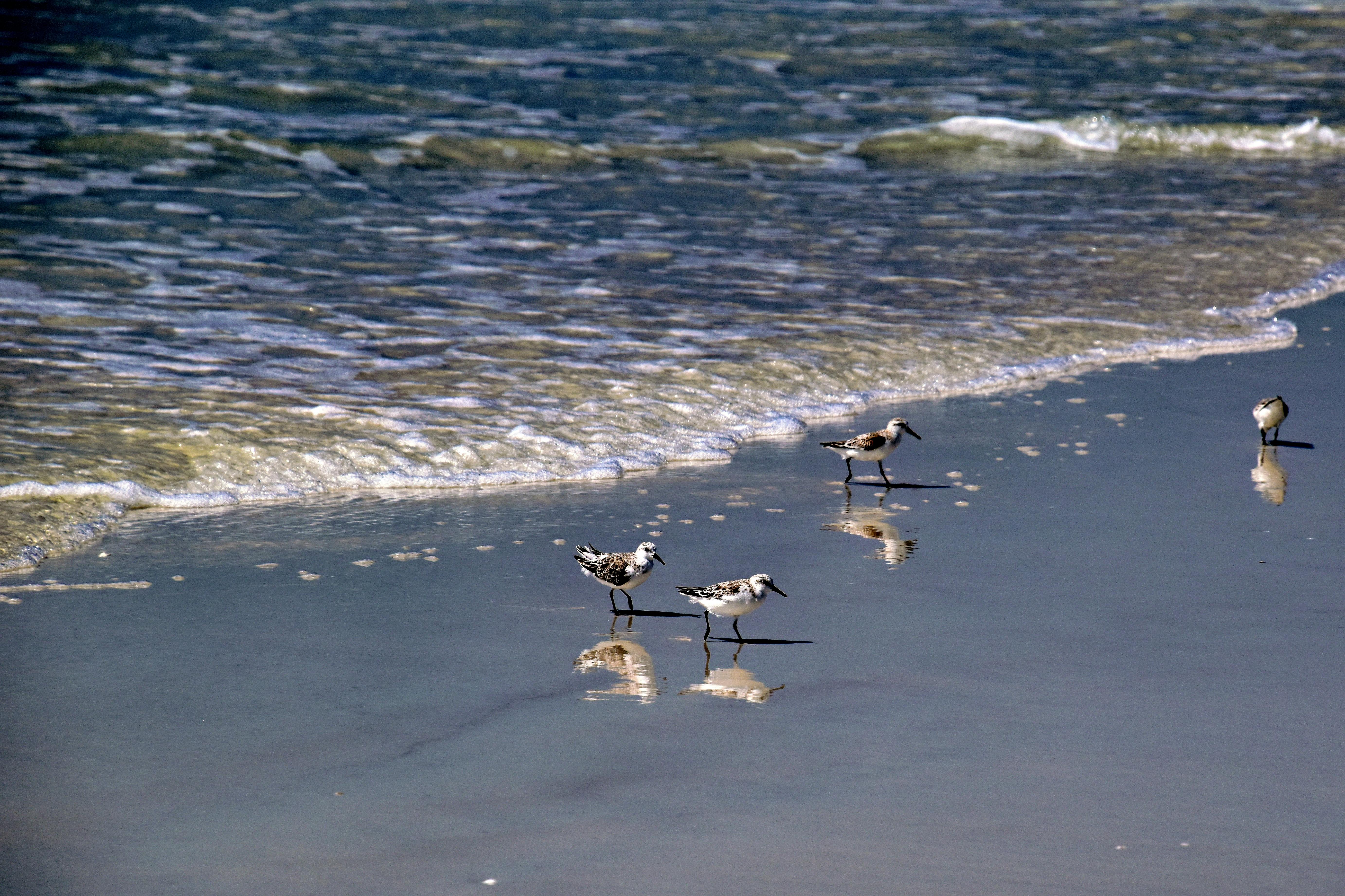 St. Pete's Marine Industry Rides Wave of Growth, Bolstering Local Economy