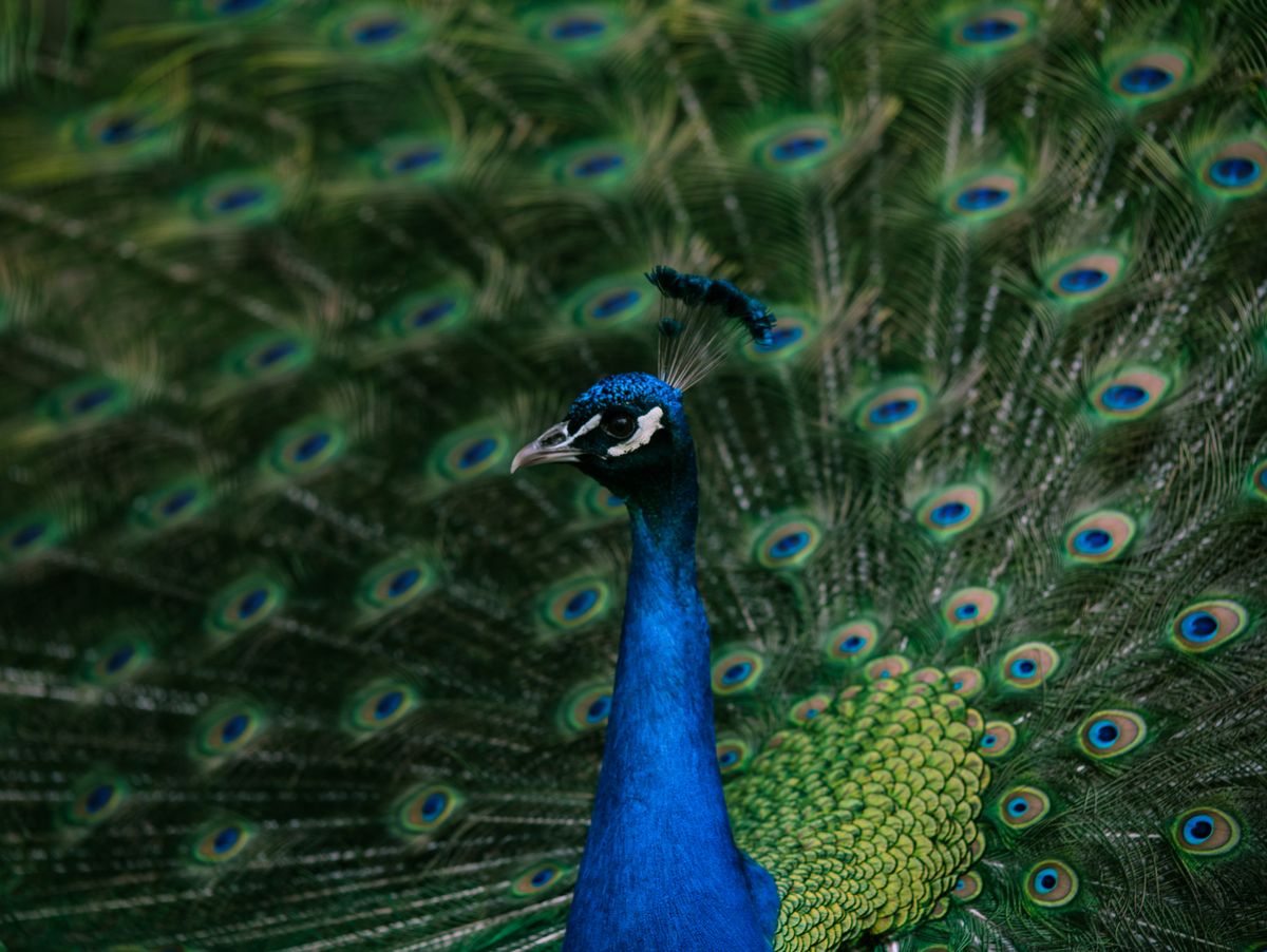 Display Photos, Download The BEST Free Display Stock Photos & HD Images