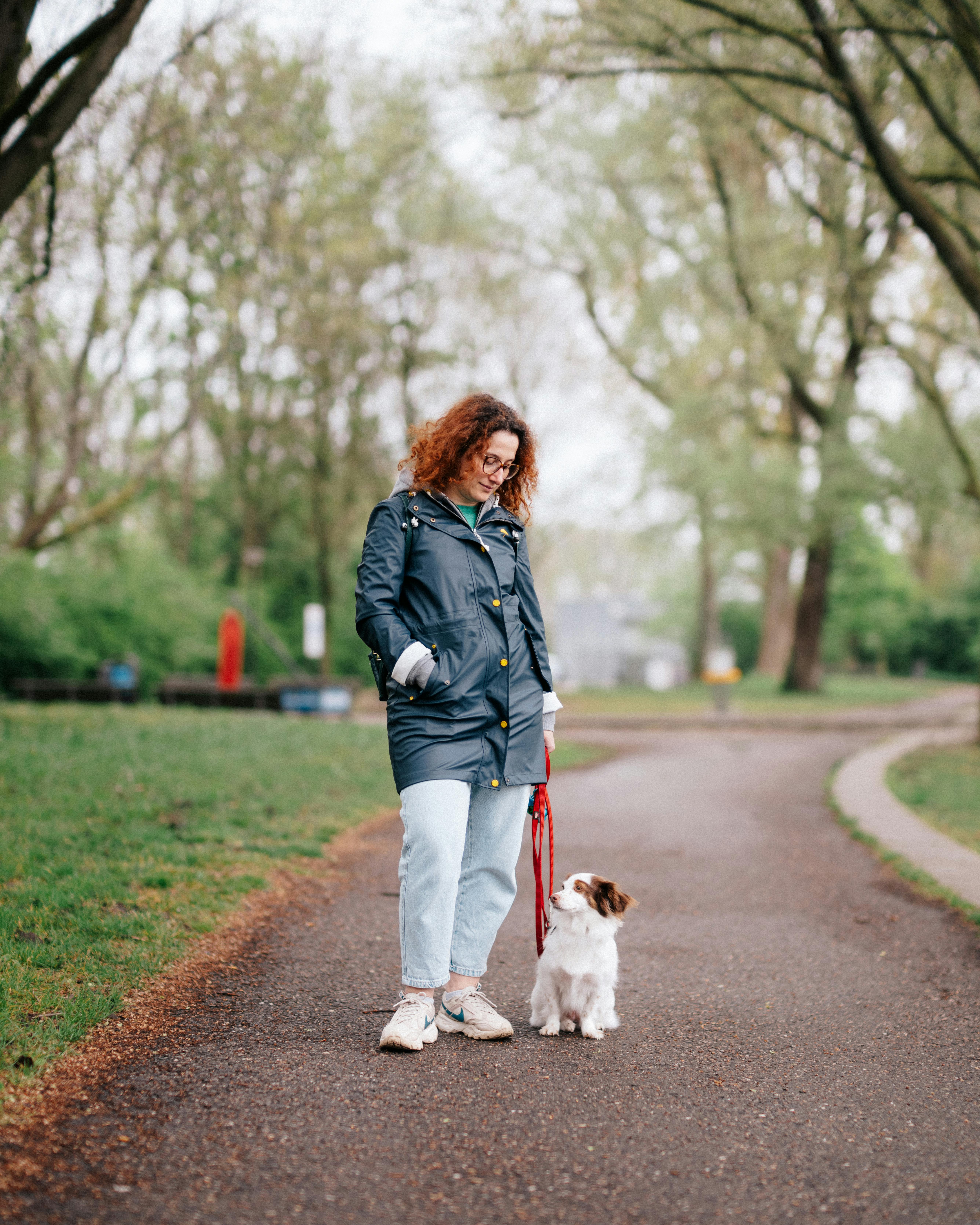 Why Do Dogs Have Wet Noses? Discover This Fascinating Truth! 9 How Weather and Environment Affect Your Dog's Nose Moisture: Tips for Pet Owners