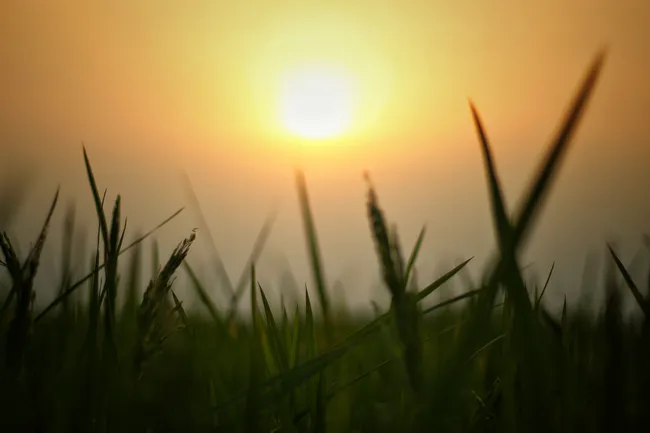 6 Daily Habits to Unlock a More Fulfilling Life Starting Today
