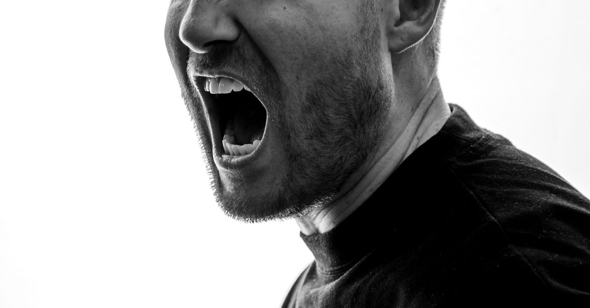 Shouting With Rage Reference Expressive Portrait of Man Shouting in Anger · Free Stock Photo