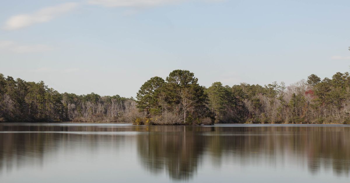 Beautiful reflection of a calm lake and trees in South Carolina.