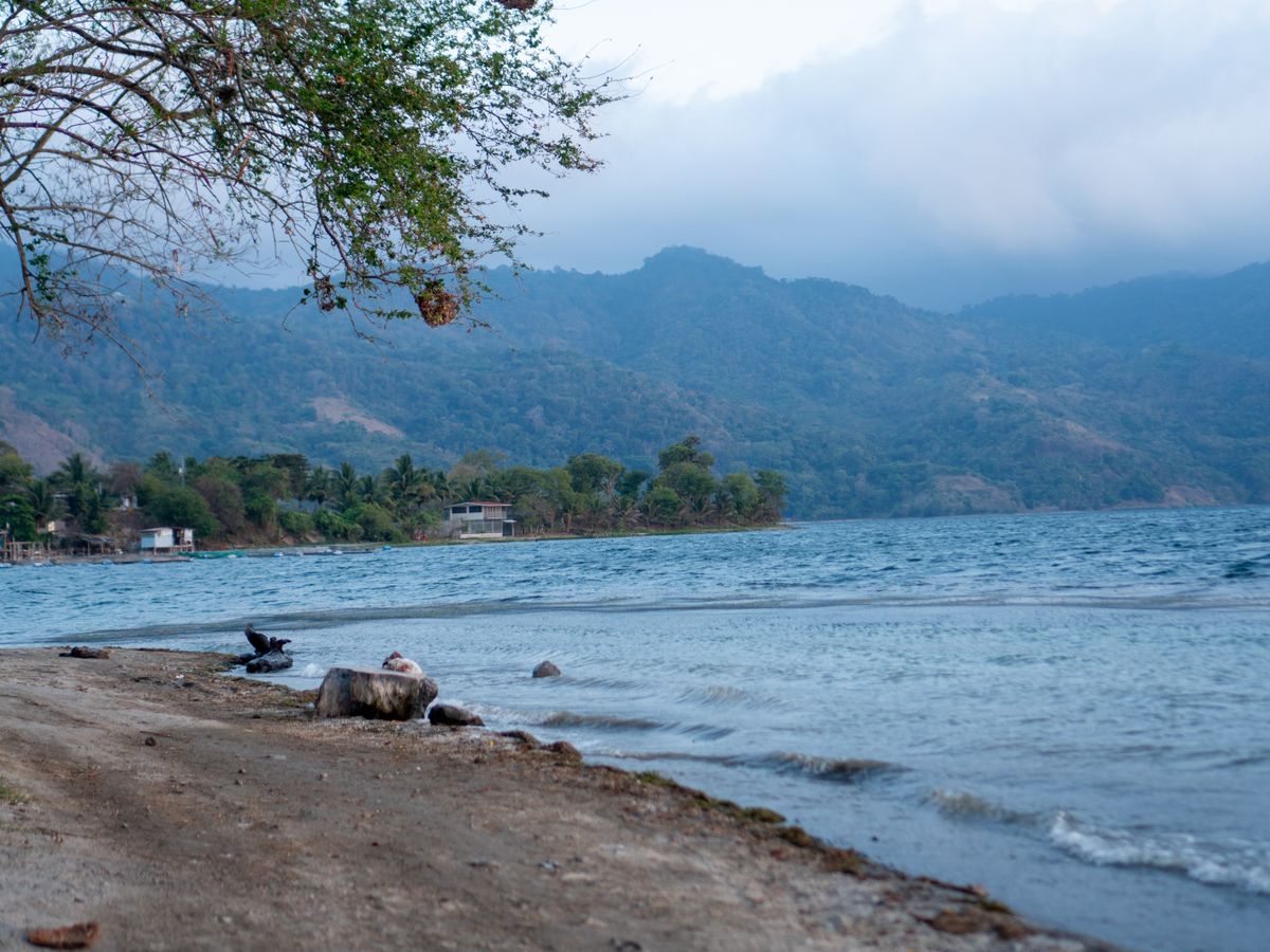 4 Day Plant Wisdom Journey: Pachamama Embrace Retreat, Costa Rica 2