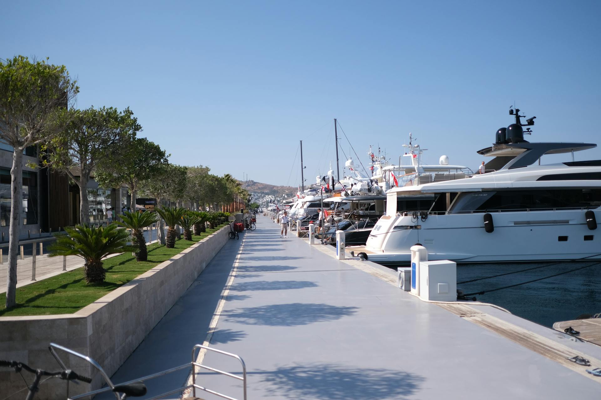 A vibrant marina scene with luxury yachts docked along a sunny promenade lined with palm trees.