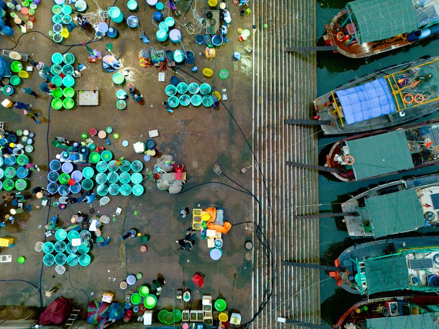 Dawn fishing harbor in Quang Ninh, Vietnam, crowded with wooden boats unloading fresh seafood, wet reflective concrete pier, workers in colorful raincoats, baskets of squid and fish, misty early morning light, ultra detailed documentary travel photography