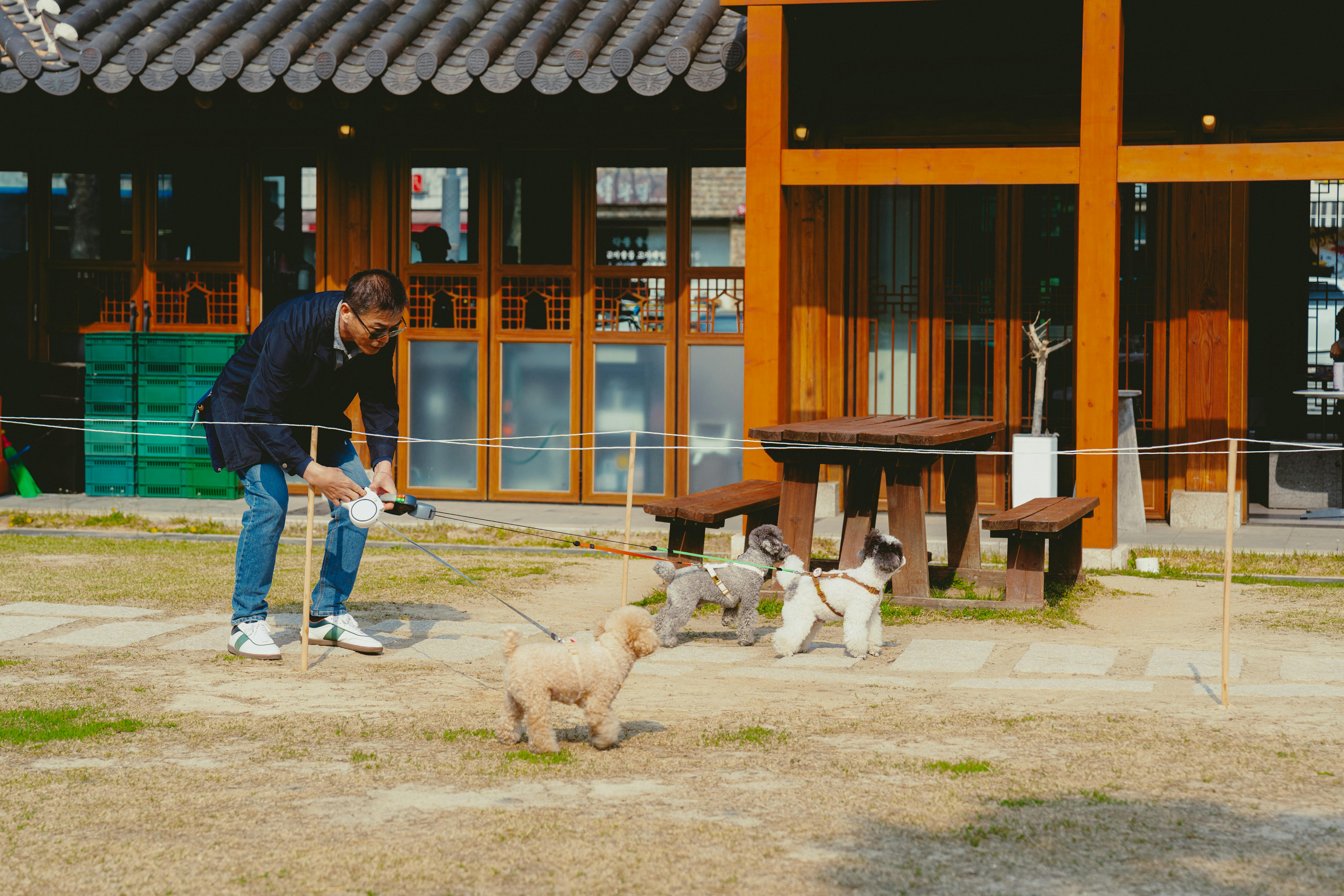 Vivir en Canadá: Guia Completa para Latinos July 2020