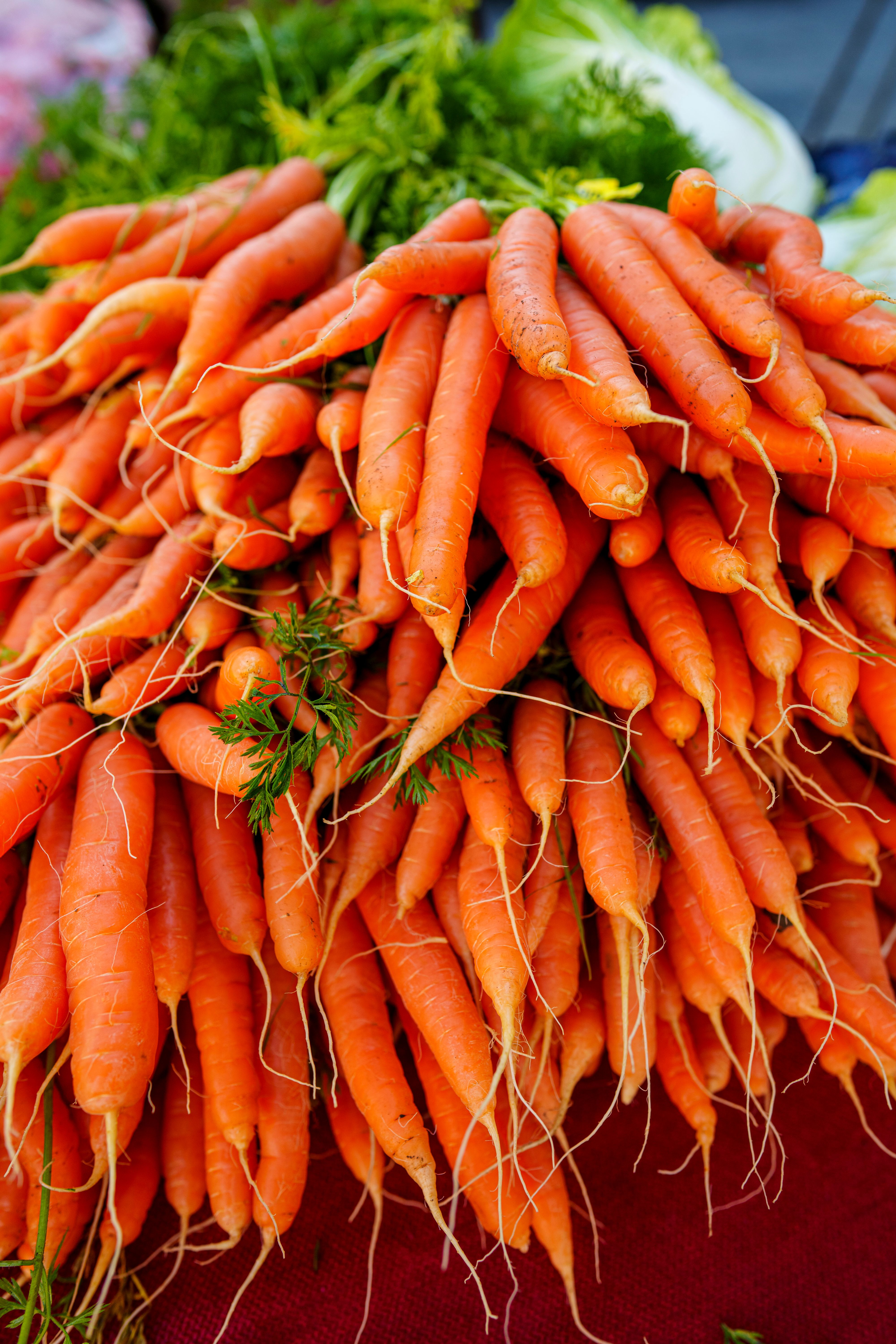 ฟรี แครอทออร์แกนิกสดหลากสีสันที่จัดแสดงที่ Arcata Farmers Market คลังภาพถ่าย