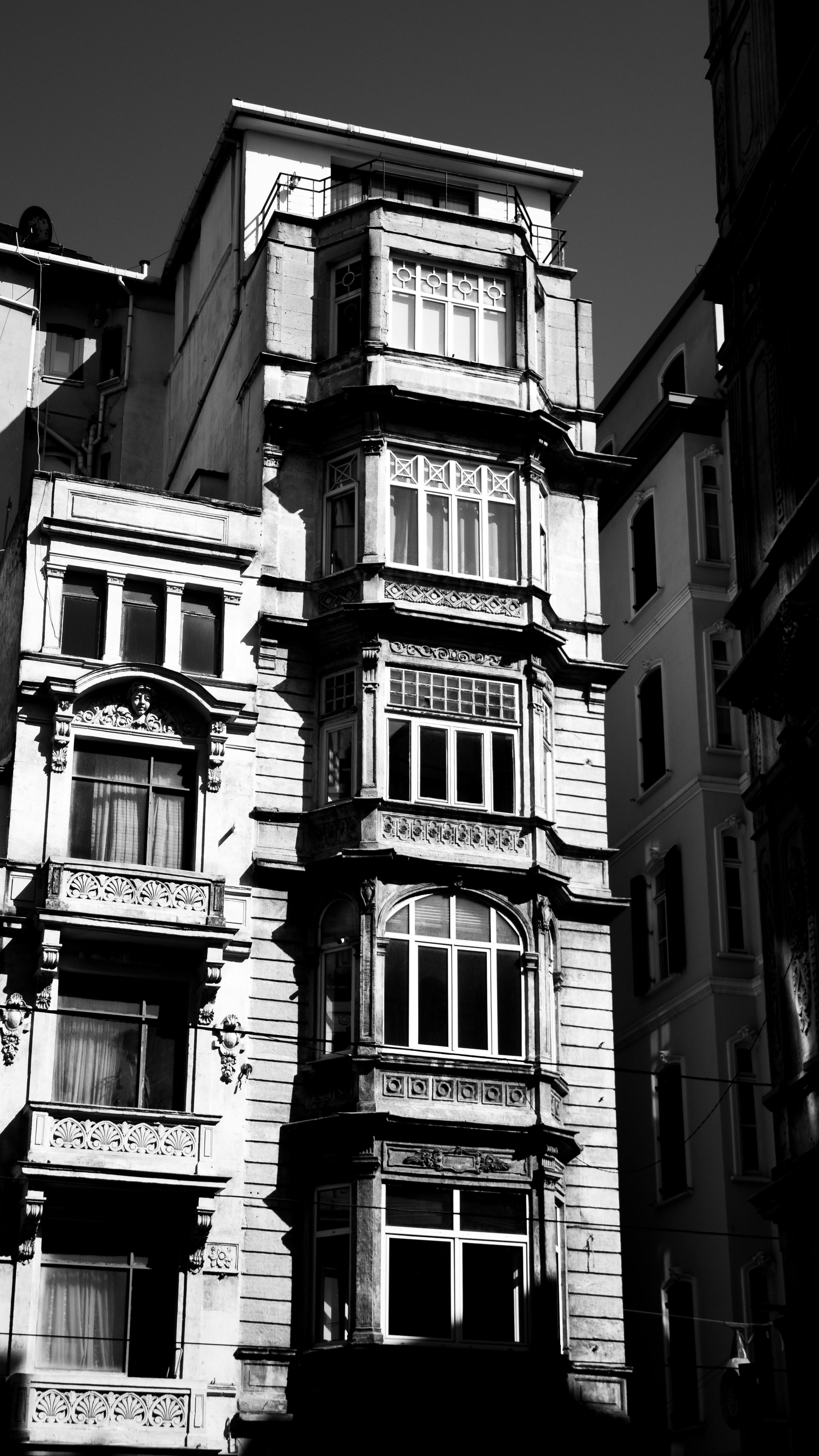 Elegant vintage architecture in black and white emphasizing intricate facade details.