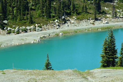 Serene turquoise lake surrounded by lush forest and mountains in Whistler, Canada.