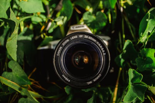 Close-Up Photo Of Camera Lens