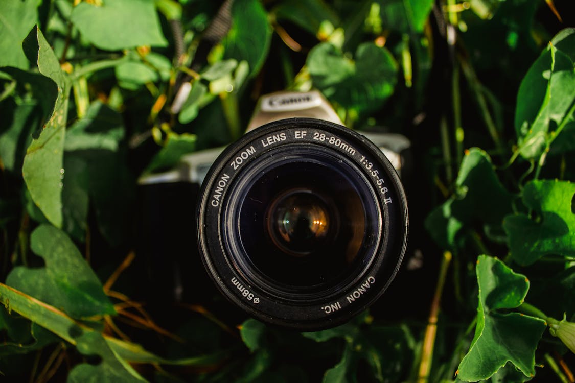 Fotobanka s bezplatnými fotkami na tému clona, deň, denný čas