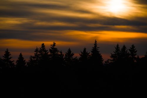 Free Capture of a vibrant sunset with silhouetted trees in the foreground. Stock Photo
