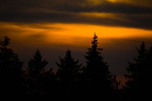 Free A breathtaking sunset fading into the dark silhouette of a forest, showcasing vibrant hues. Stock Photo