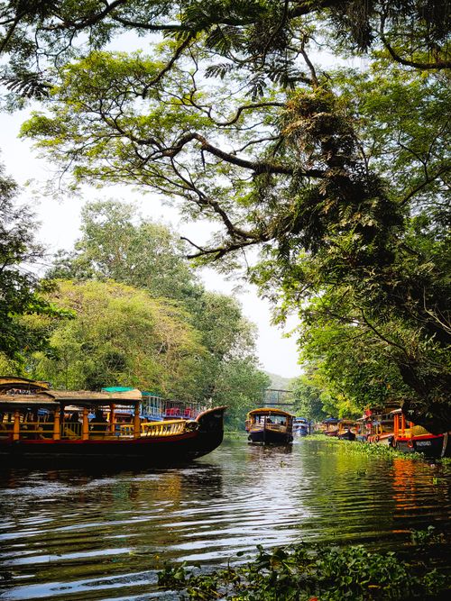 Free Idyllic view of a tranquil river flanked by lush trees and wooden boats. Stock Photo
