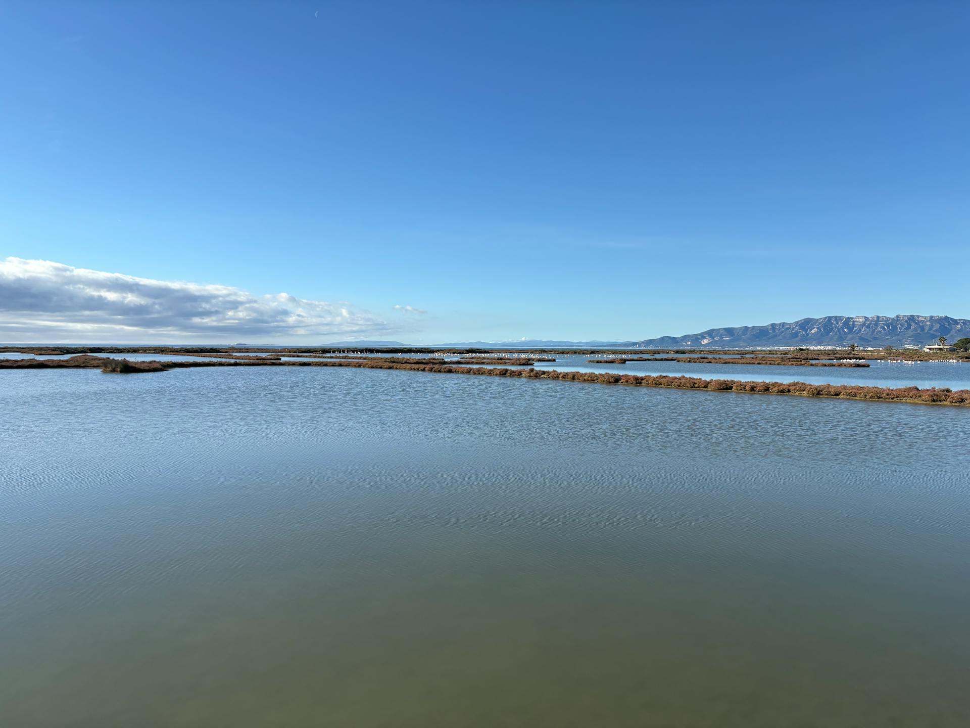 Tranquil coastal lagoon with mountain backdrop on a sunny day.