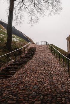 A cobblestone pathway with stairs leads through a misty, tree-lined landscape.