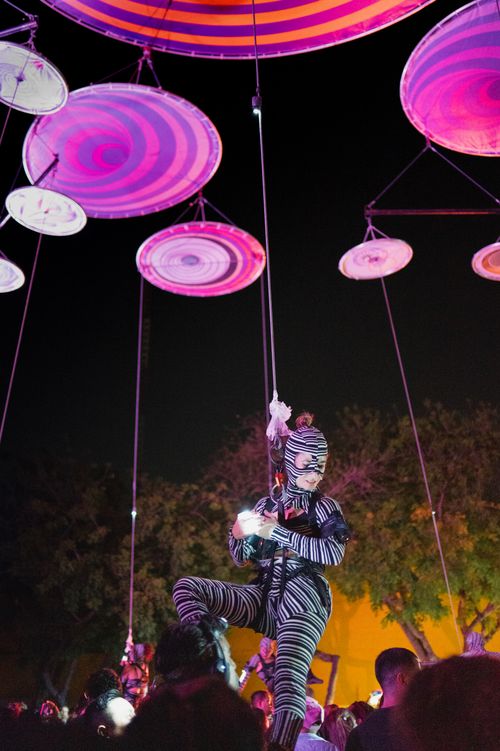 Free Dynamic acrobatic performer in zebra costume during night event in Merida, Mexico. Stock Photo