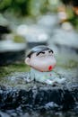 Cute Toy Figure Relaxing by Rippling Water