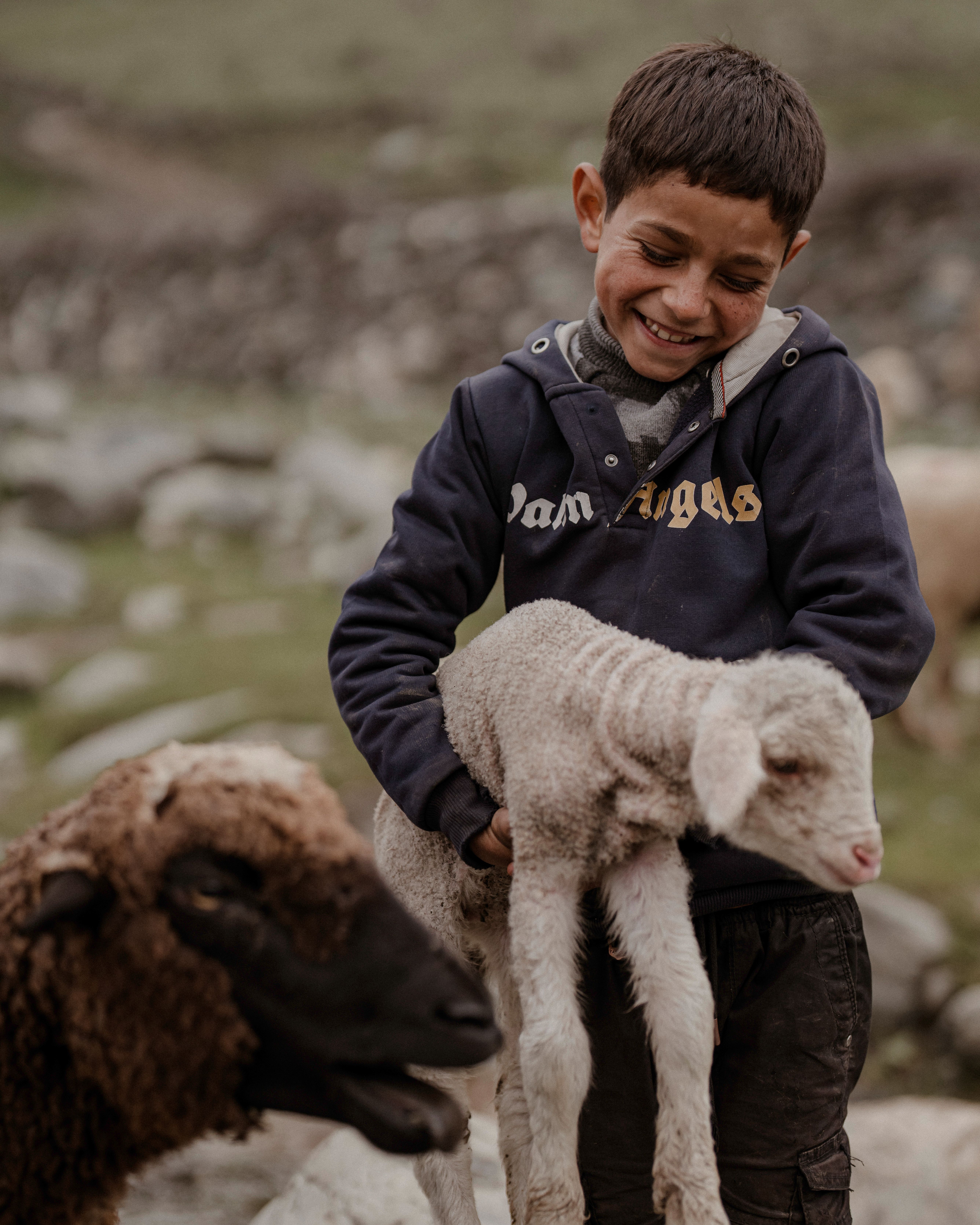 Joyful Boy Holding Lamb in Kashmir Landscape · Free Stock Photo