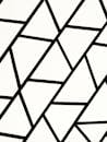 Geometric Black and White Abstract Pattern