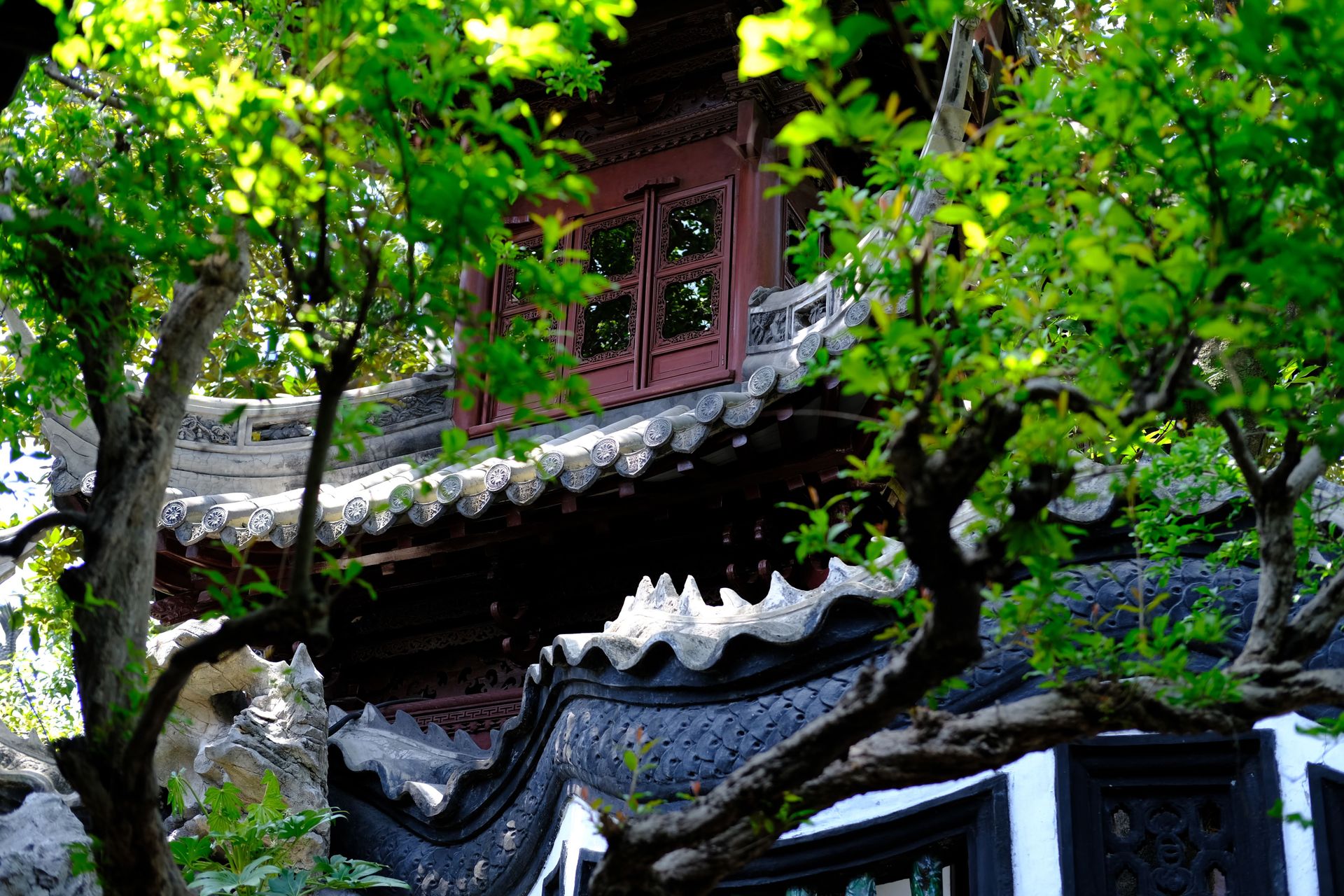 A picturesque view of traditional Chinese architecture peeking through vibrant green foliage in a serene garden setting.