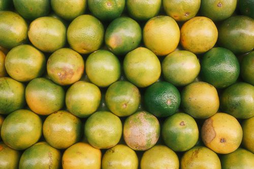 Free A vibrant display of fresh limes, perfect for natural and organic branding. Stock Photo