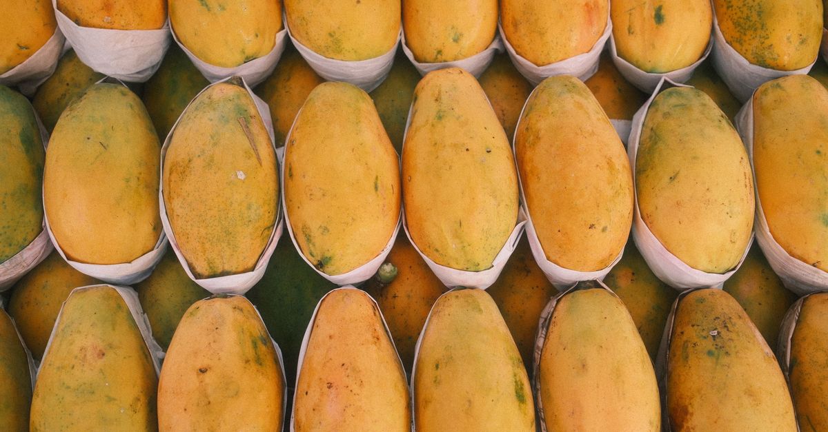 AI Drama Boosts Mango TV's Market Value
