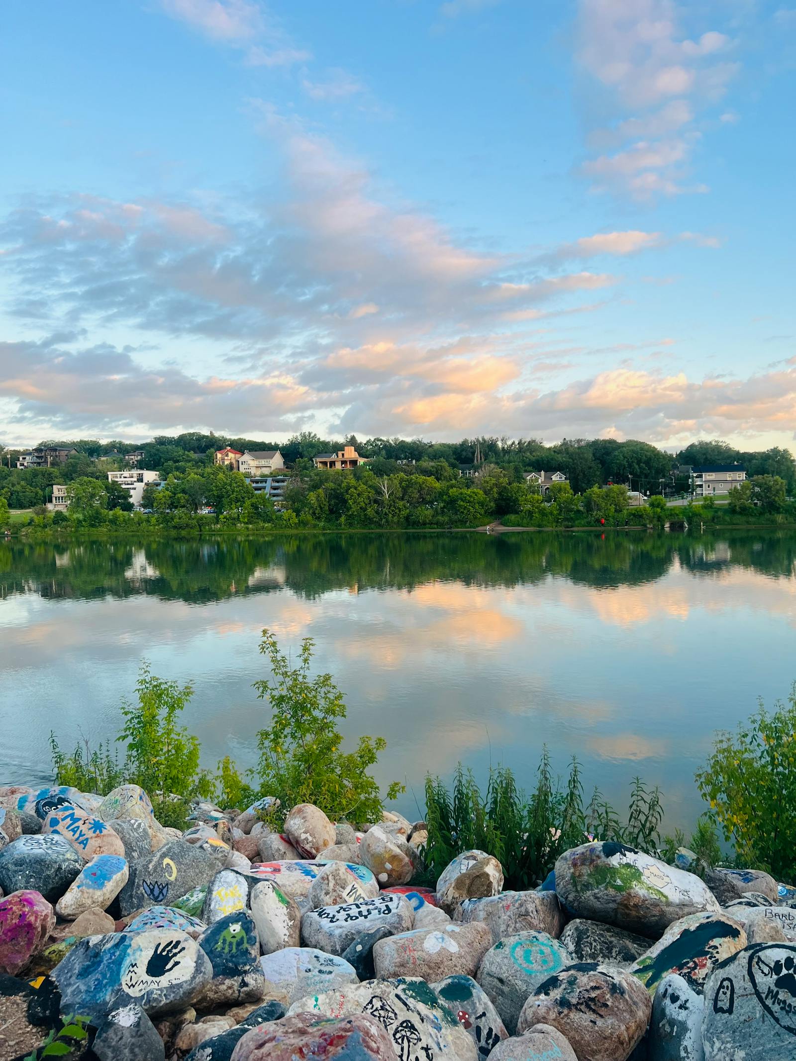 View of the South Saskatchewan River at sunset with colorful graffiti-covered rocks in the foreground and houses nestled among trees on the far bank in Saskatoon.